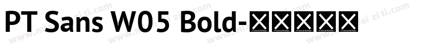 PT Sans W05 Bold字体转换